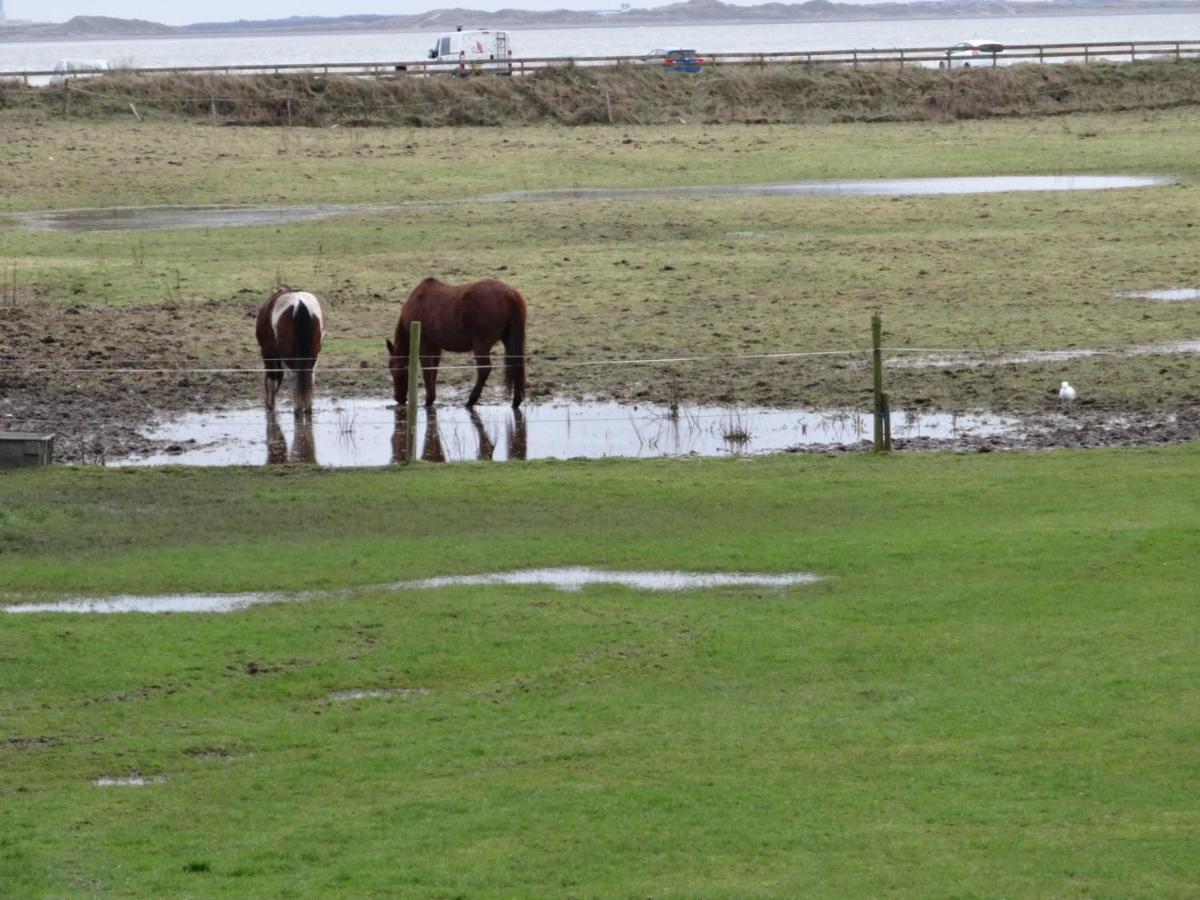 Sea View Cottage Lake District Coast Haverigg Millom Esterno foto